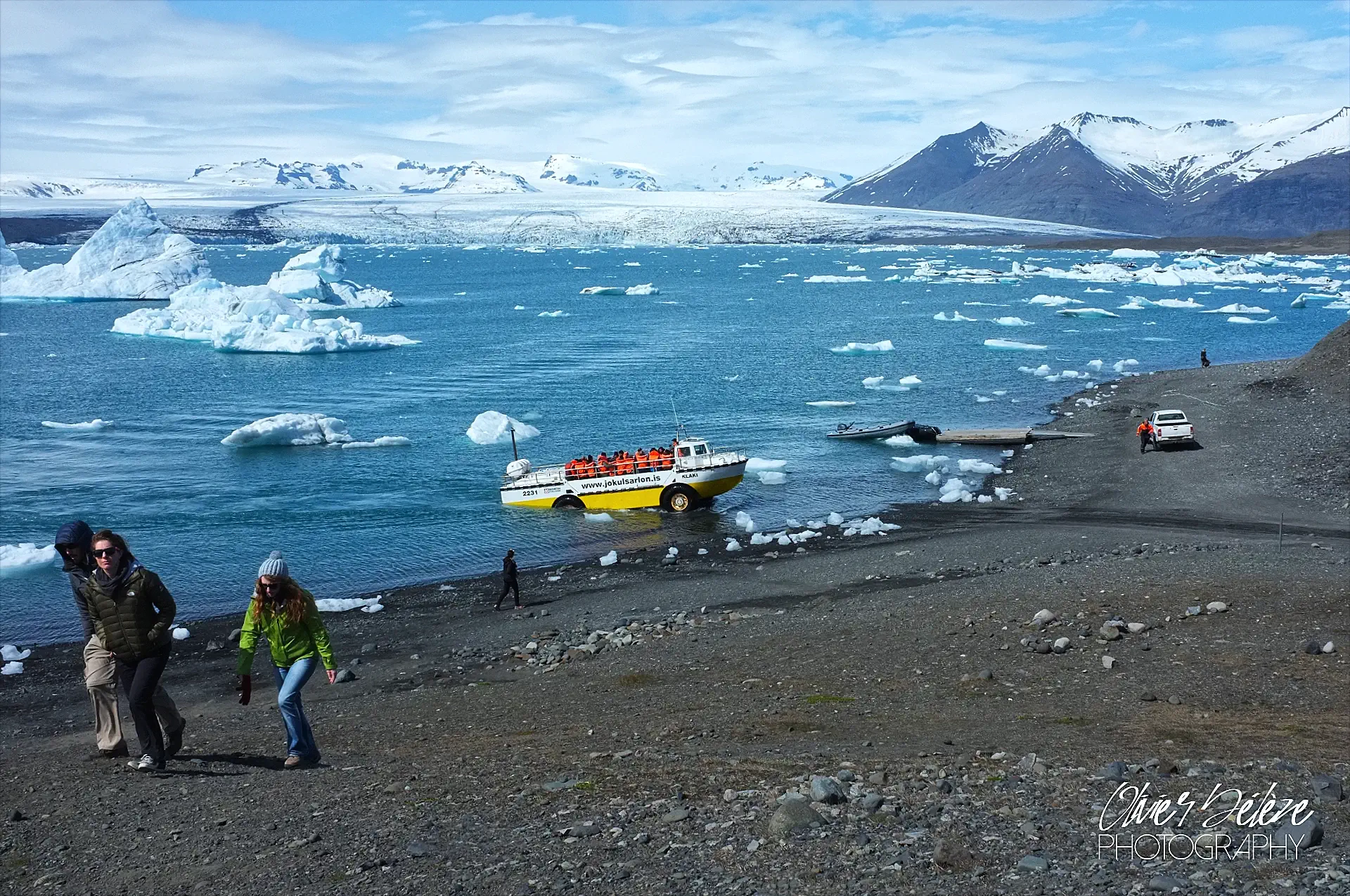 jardin d'icebergs